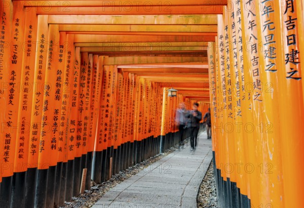 Visitors on a journey through hundreds of red traditional torii gates, Fushimi Inari-taisha, Shinto shrine, long exposure, motion blur, Fushimi Inari-taisha Okusha Hohaisho, Kyoto, Japan