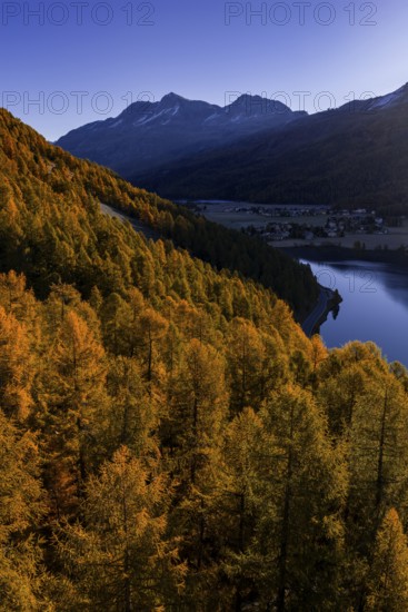 Mountain landscape, mountain lake, larch forest, autumn, autumn color, morning light, sunny, aerial view, Lake Sils, Engadin, Switzerland
