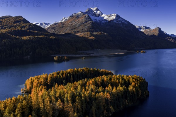 Mountain landscape, mountain lake, larch forest, autumn, autumn color, morning light, sunny, aerial view, Lake Sils, Engadin, Switzerland
