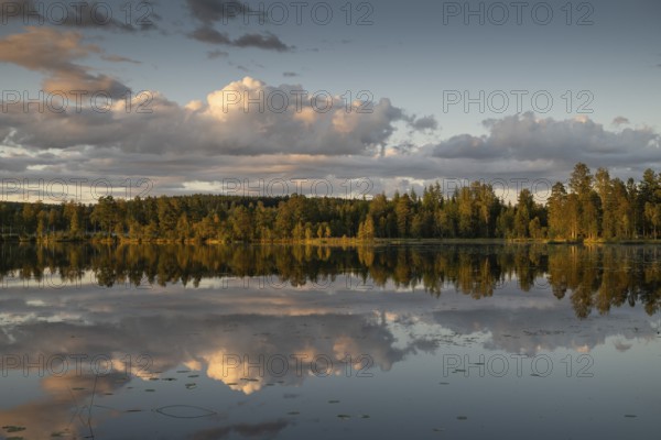 Clouds reflected on the water surface, forest lake, evening mood, at Sunne, Sweden