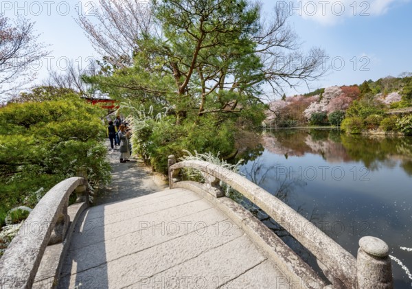 Bridge over Kyoyochi Pond in Japanese Garden, blooming cherry trees, Ryoan-ji, Zen Buddhist temple complex, in spring, Kyoto, Japan