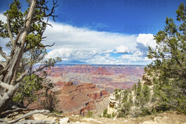 Beautiful landscape of the grand canyon, arizona
