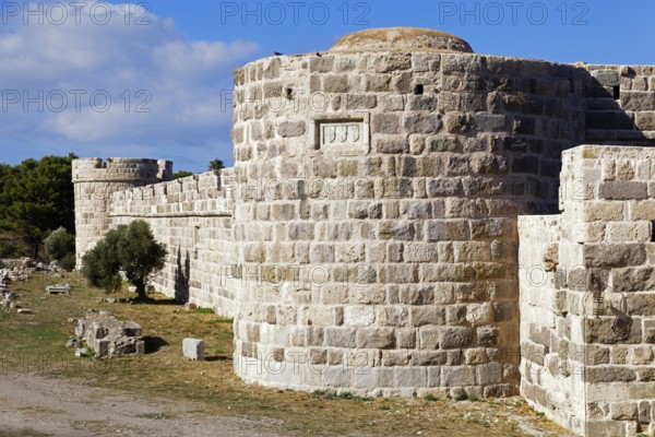 Inner fortification, olive tree, bastion, Neratzia fortress, also Nerantzia, castle, first mentioned in 1395, former fortress of the Order of St. John, today ruin, city of Kos, island of Kos, Dodecanese islands, Greece, eastern Adriatic, Mediterranean