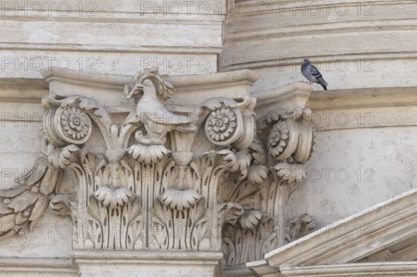 Feral dove (Columba livia) adult bird on a building with a peace dove bird sculture in the city of Rome, Italy