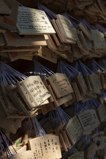 Ema, small wooden tablets with wishes and prayers, hung so that the Kami spirits or gods can receive them, Meiji Jingu, Meiji Shrine, Shinto Shrine, Yoyogi Park, Shibuya, Tokyo