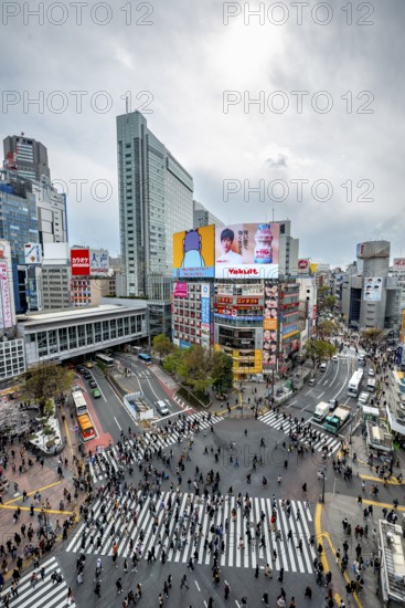 Modern houses with colorful neon signs and large road intersection, Shibuya Crossing from above, crowd at crossroads with crosswalks, Shibuya, Tokyo, Japan