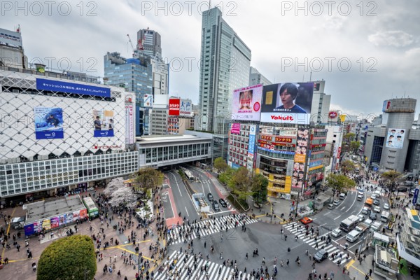 Modern houses with colorful neon signs and large road intersection, Shibuya Crossing from above, crowd at crossroads with crosswalks, Shibuya, Tokyo, Japan