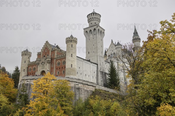 Neuschwanstein in autumn, Schwangau, Füssen, Allgäu, Bavaria, Germany