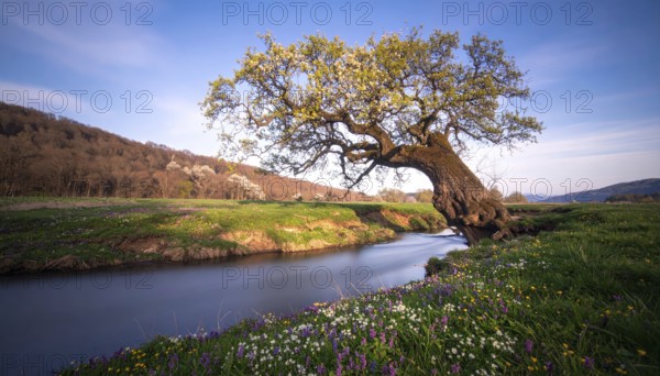 A serene landscape featuring a large tree by a stream at sunset with vibrant green grass and blooming flowers, spring landscape, the oak branch of nature, clear blue sky, idyllic atmosphere with green grass meadow, hills in the calm nature, AI generated