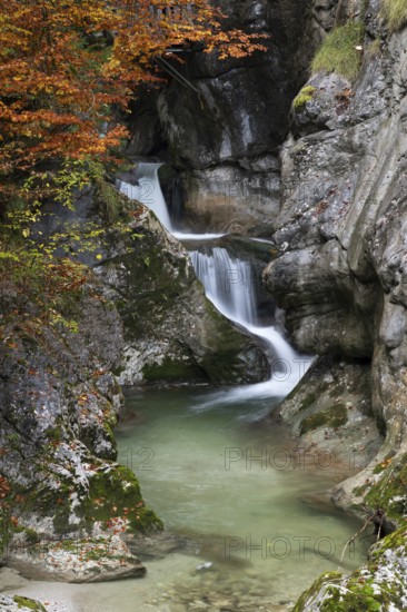 Stream in autumn in the Nothklamm, Gams, Palfau, Hieflau, Styria, Austria