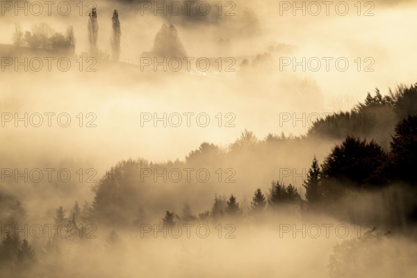 Sunrise, typical landscape in autumn with vineyards and fog, South Styrian hills, South Styrian wine route, Styria, Austria