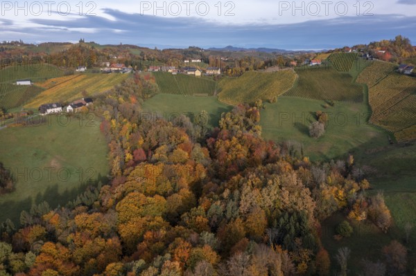Aerial view, typical landscape in autumn with vineyards, South Styrian hills, South Styrian wine route, Styria, Austria