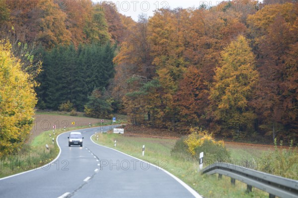 Mixed forest in autumn colors in Franconia on the B2 Nuremberg-Bayreuth, Upper Franconia, Bavaria, Germany