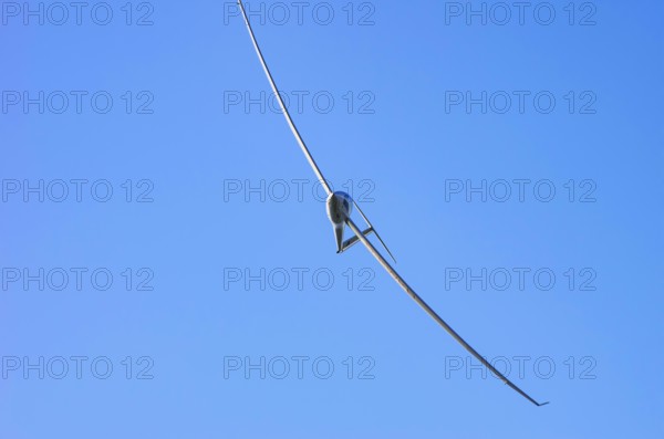 A Schempp-Hirth Arcus E motor glider, registration D-KWKU, during a screening as part of an air show at the Fliegerbergfest of the Rossfeld Luftsportverein in Metzingen-Glems, Baden-Württemberg, Germany, for editorial use only