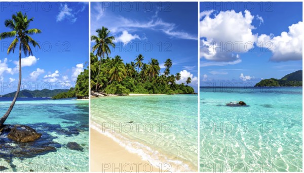Collage of tropical islands with beach and palm trees, paradise with blue cloudy sky, turquoise water, green plant, sandy shore, wallpaper illustration, template or banner for ecology, sustainability, landscape and travel, AI generated