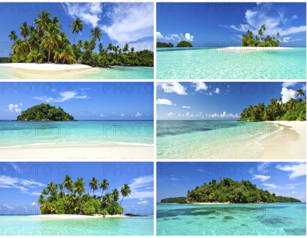 Collage of tropical islands with beach and palm trees, paradise with blue cloudy sky, turquoise water, green plant, sandy shore, wallpaper illustration, template or banner for ecology, sustainability, landscape and travel, AI generated
