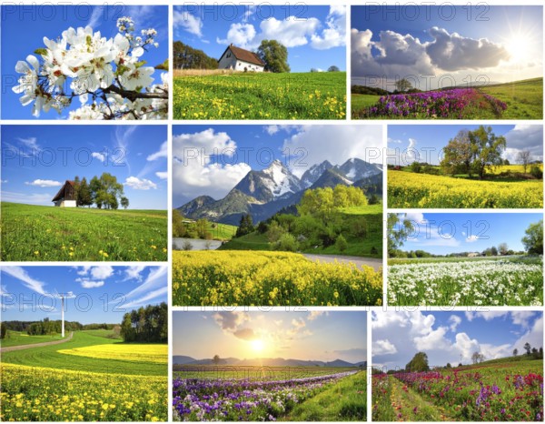 Collage of spring and summer landscapes, blooming flowers, green meadows and trees, hilly landscape with mountains, blue cloudy sky with sunrise or sunset, wallpaper illustration for banner or template background, AI generated