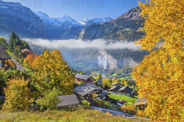 View from the village of the Lauterbrunnen Valley with Staubbach waterfall in autumn with morning fog, Wengen, Bernese Oberland, Canton of Bern, Switzerland