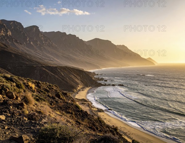 Desert landscape converges with ocean along a rugged coastal area, shore break at cliffs, blue cloudy sky at sunset, dry landscape in an aerial drone view, AI generated