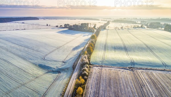 Bird Eye Perspective of Frost Covered Farmland. Seasonal Agricultural Scenery, winter and autumn scene, blue sky with golden light at sunrise, AI generated