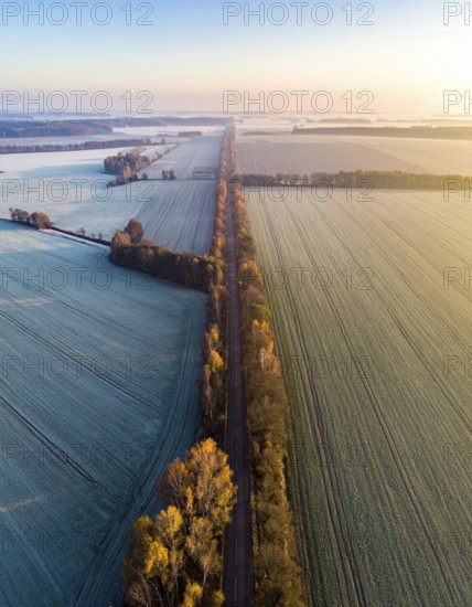 Bird Eye Perspective of Frost Covered Farmland. Seasonal Agricultural Scenery, winter and autumn scene, blue sky with golden light at sunrise, AI generated