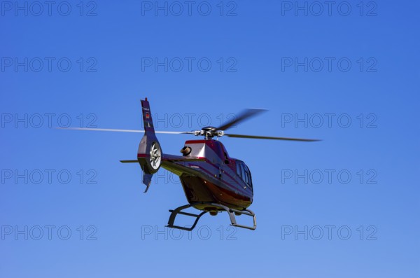A Eurocopter EC 120B Colibri helicopter, D-HALX registration, during a flight demonstration as part of an air show on Rossfeld in Metzingen-Glems, Baden-Württemberg, Germany, for editorial use only