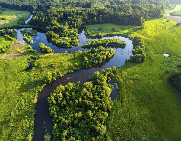 Ecology and environment concept. Green wilderness nature from above. Aerial view on meandering river landscape with trees and meadows. Healthy nature with tranquil atmosphere, AI generated