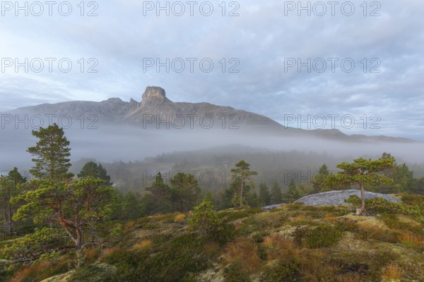 Magical morning fog on Steigtindvatnet in front of the majestic Steigtinden in Norway near Bodø