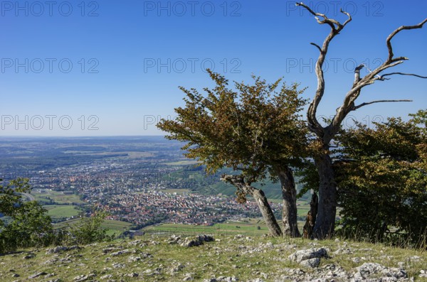 Picturesque scenery on the eaves of the Swabian Jura near Olgafels on Rossfeld in Metzingen-Glems, Baden-Württemberg, Germany