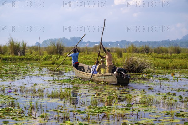 Boat with tourists in Mabamba Swamp, Tourists, Mabamba Swamp, Lake Victoria, Uganda