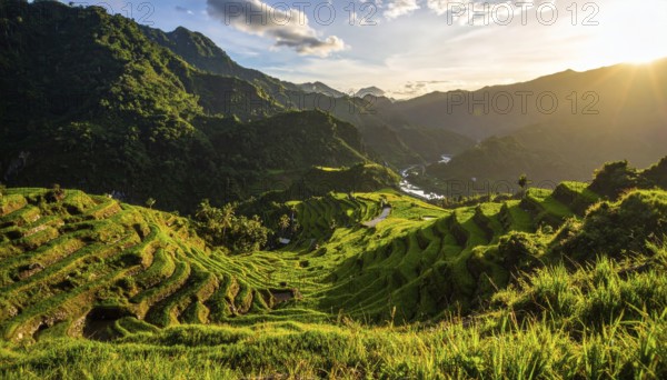 Early morning light bathes Philippines rice terraces cascading down mountain slopes, beautiful golden light, AI generated