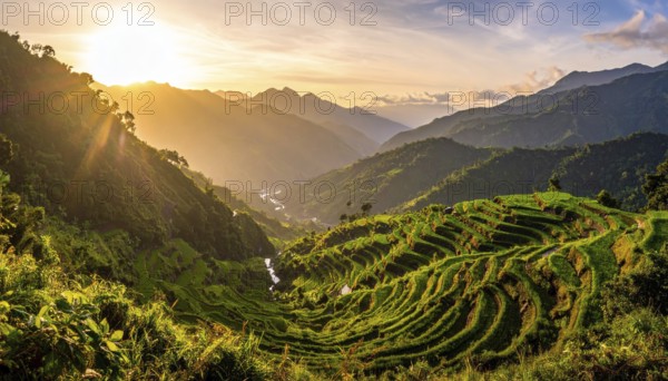 Early morning light bathes Philippines rice terraces cascading down mountain slopes, beautiful golden light, AI generated