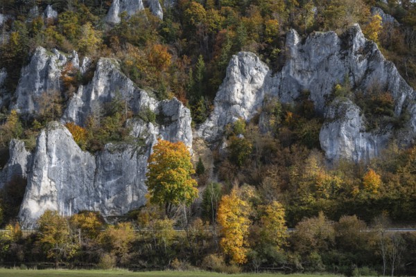 Distinctive Jurassic limestone cliffs in the upper Danube Valley, surrounded by autumn vegetation, Sigmaringen district, Baden-Württemberg, Germany