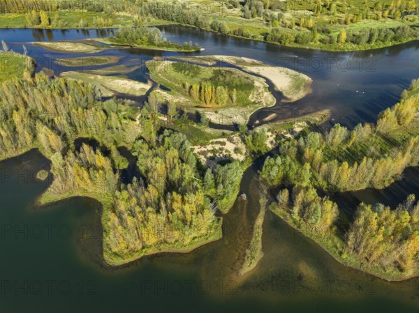 Wesel, Lower Rhine, North Rhine-Westphalia, Germany - autumn on the Lippe, trees with colorful autumn leaves in the restored river floodplain area of Büdericher Insel above the mouth of the Lippe into the Rhine, Lippe estuary nature reserve
