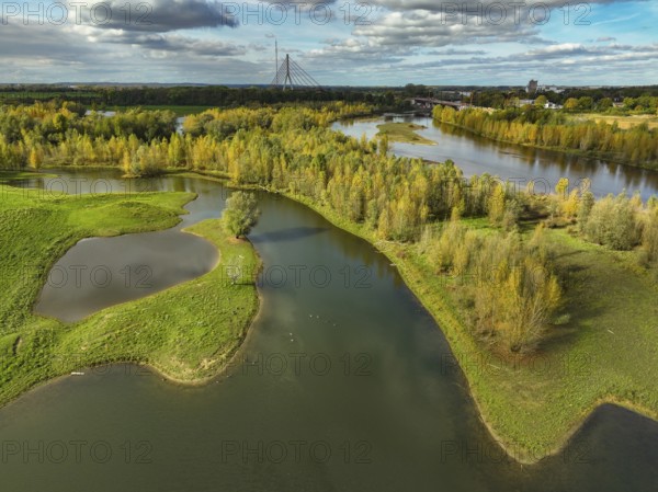 Wesel, Lower Rhine, North Rhine-Westphalia, Germany - autumn on the Lippe, trees with colorful autumn leaves in the restored river floodplain area of Büdericher Insel above the mouth of the Lippe into the Rhine, Lippe estuary nature reserve, in the back the Lower Rhine bridge Wesel
