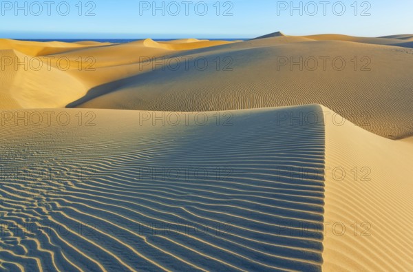 Sand dunes, Maspalomas, Playa del Ingles, Gran Canaria, Canary Islands, Spain