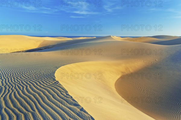 Sand dunes, Maspalomas, Playa del Ingles, Gran Canaria, Canary Islands, Spain