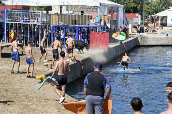 Bous a la Mar Fair, in English Bulls in the Sea, Bullfighting, Javea or Xàbia, Alicante Province, Comunidad Valenciana, Spain