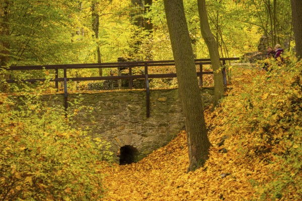Altzella Abbey is a former Cistercian abbey west of the town of Nossen. In the Middle Ages, it was one of the most important monasteries in Central Germany. The monastery was dissolved as a result of the Reformation, the complex, with its partly well-preserved wall, is now a mixture of romantic park with ruins and renovated buildings. The remains of the monastery have been a listed building since the 1970s, Nossen, Saxony, Germany