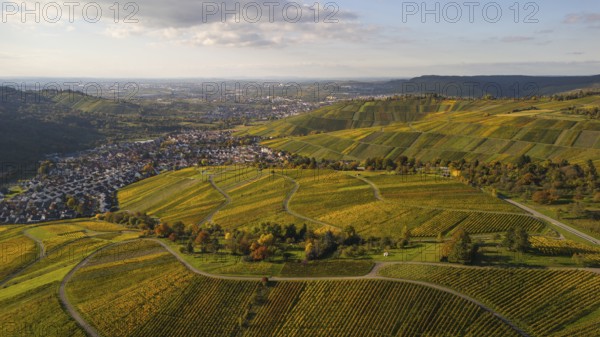 Golden autumn over the vineyards of Weinstadt Beutelsbach, Baden-Württemberg, Germany