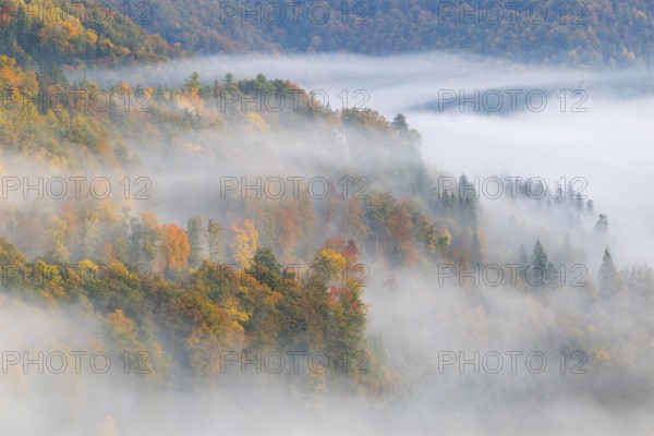 View from the Knopfmacherfelsen into the Danube valley, mixed forest, autumn colours, fog, autumn, Fridingen, Danube valley, Upper Danube nature park Park, Baden-Württemberg, Germany