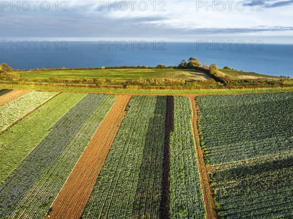 Fields and Farms at evening sun from a drone, Shaldon, Torquay, Devon, England, United Kingdom