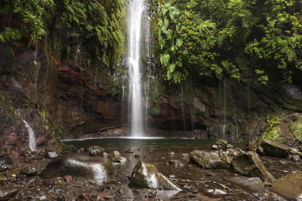 A large waterfall and many small watercourses pour down onto the rocks in the mystical 25 Fontes basin covered in ferns and moss, Levada das 25 Fontes (PR 6), Rabaçal nature reserve, Madeira, Portugal