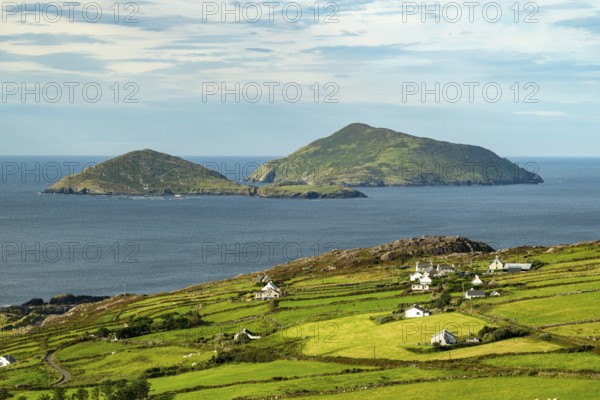 Elevated view over green meadows bordered by natural stone walls and typical cottages to the Atlantic Ocean with the islands of Scariff and Seenish, Ring of Kerry, Iveragh Peninsula, County Kerry, Ireland