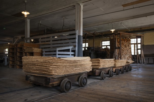 Wagon on rails for transporting cardboard, former paper factory and mill for the production of groundwood pulp board, UNESCO World Heritage Site Verla Factory Village, Maailmanperintökohde Verlan puuhiomo ja pahvitehdas, Verla Rapids, Kymenlaakso, near Kouvola, Finland