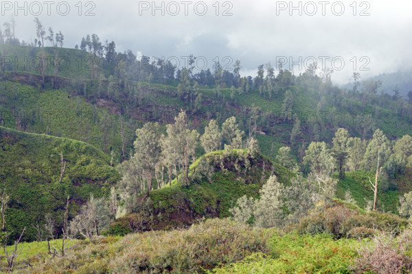 Landscape volcano Ijen, Indonesia