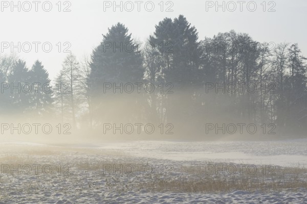 Winterlandschaft, aufsteigender Bodennebel im Licht der Morgensonne, Nordrhein-Westfalen, Deutschland