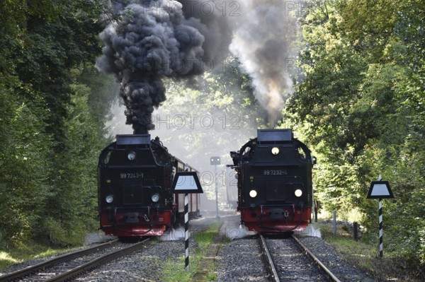 Steam locomotive, steam locomotives double exit on the Harz Narrow Gauge Railway, HSB, in the Harz Mountains near Eisfelder Talmühle, Thuringia, Germany