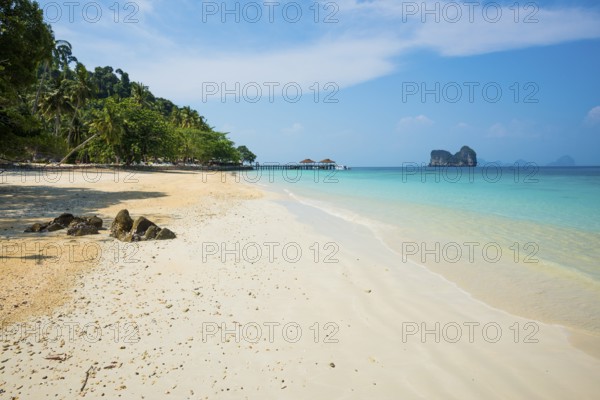 White sandy beach and coconut palms, Sunrise Beach, Koh Great white shark, Ko Ngai, Krabi Province, Trang, Southern Thailand, Andaman Sea, Thailand