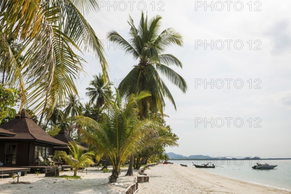 White sandy beach and coconut palms, Pearl Beach, Koh Mook, Trang Province, Southern Thailand, Andaman Sea, Thailand